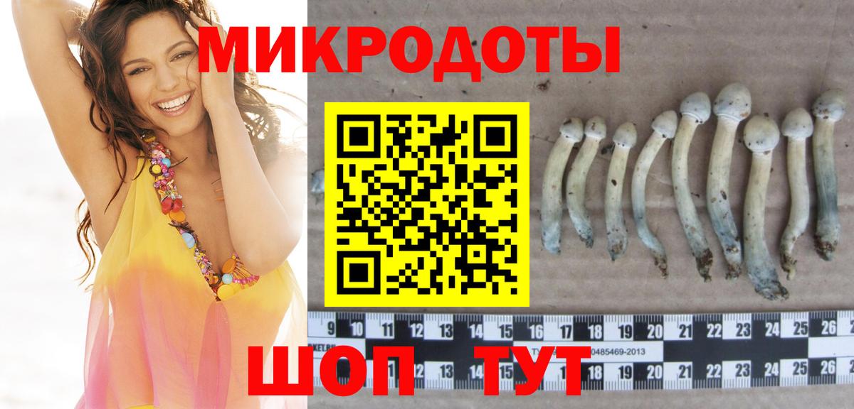 Галлюциногенные грибы ЛСД Отрадное